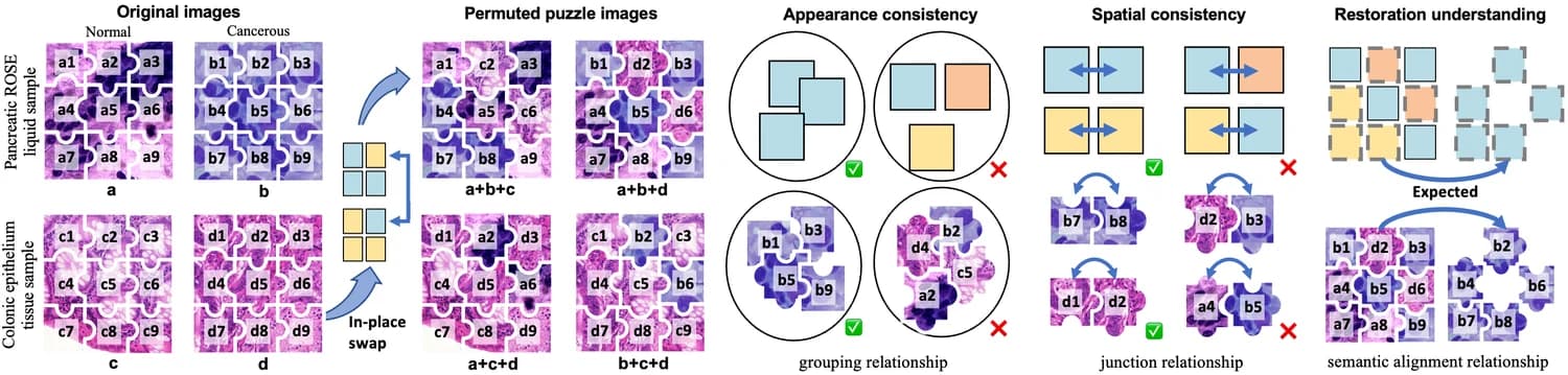 Original Fig. 1 · Pathological patch relationships under inter-image mixing.