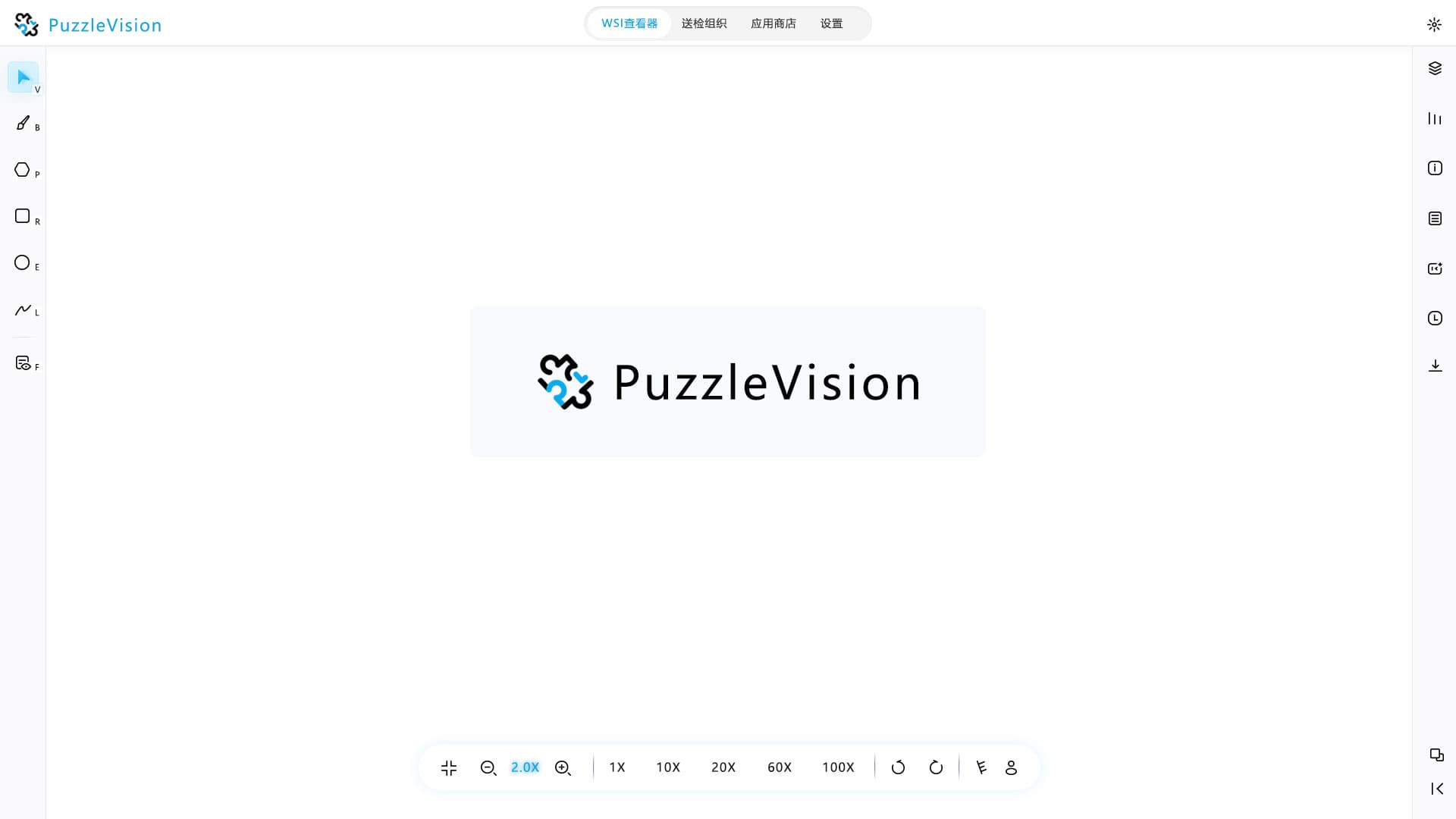 PuzzleVision
