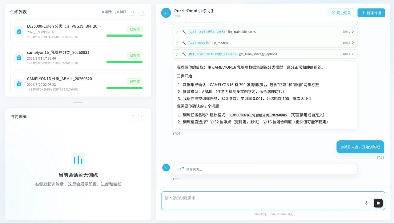 PuzzleOmni · 自动科研